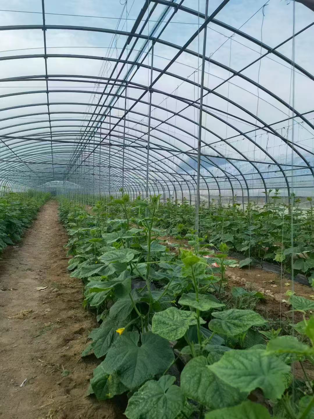 寰俊鍥剧墖_20250923115524.jpg 寰俊鍥剧墖_20250923115524.jpg